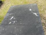 image of grave number 255931